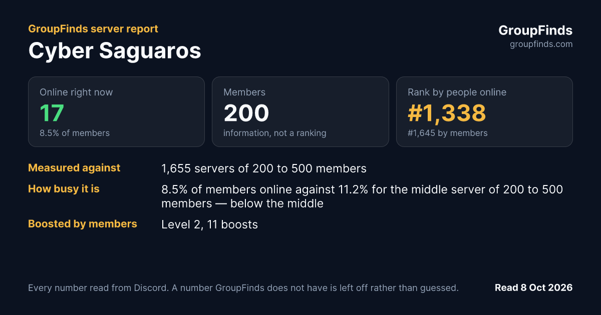 Cyber Saguaros's GroupFinds server report