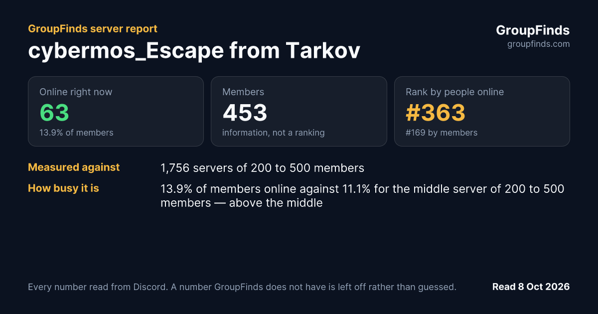 cybermos Escape from Tarkov's GroupFinds server report