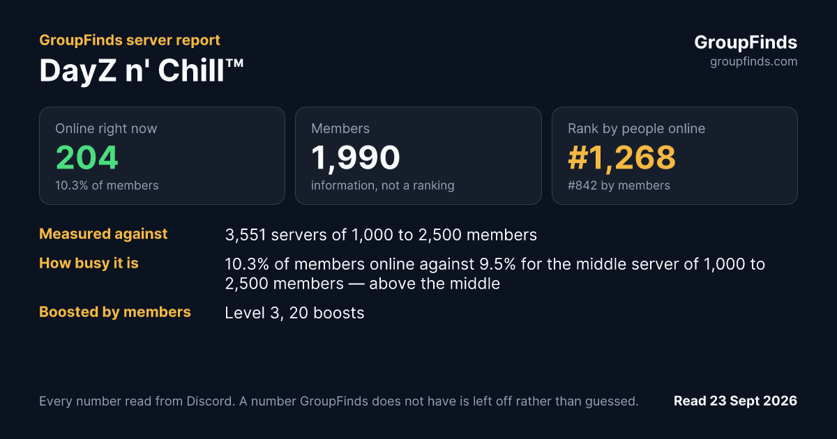 DayZ n' Chill™'s GroupFinds server report