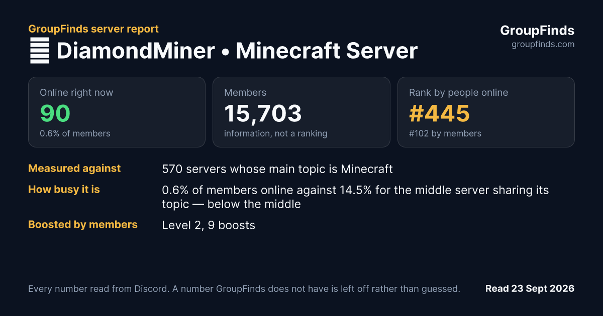💎 DiamondMiner • Minecraft Server's GroupFinds server report