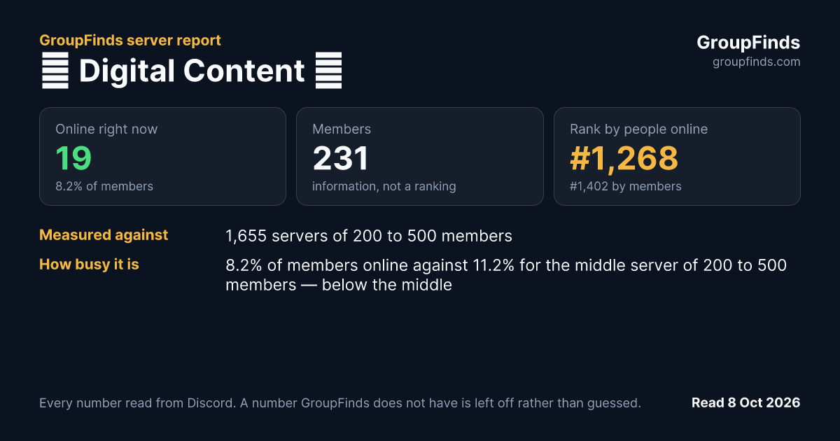 🎥 Digital Content 📸's GroupFinds server report