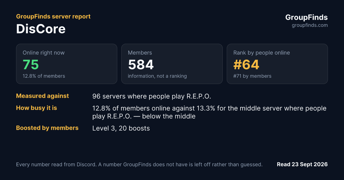 DisCore's GroupFinds server report