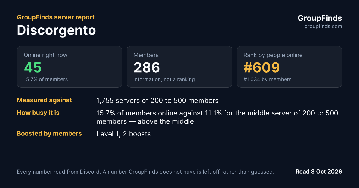 Discorgento's GroupFinds server report