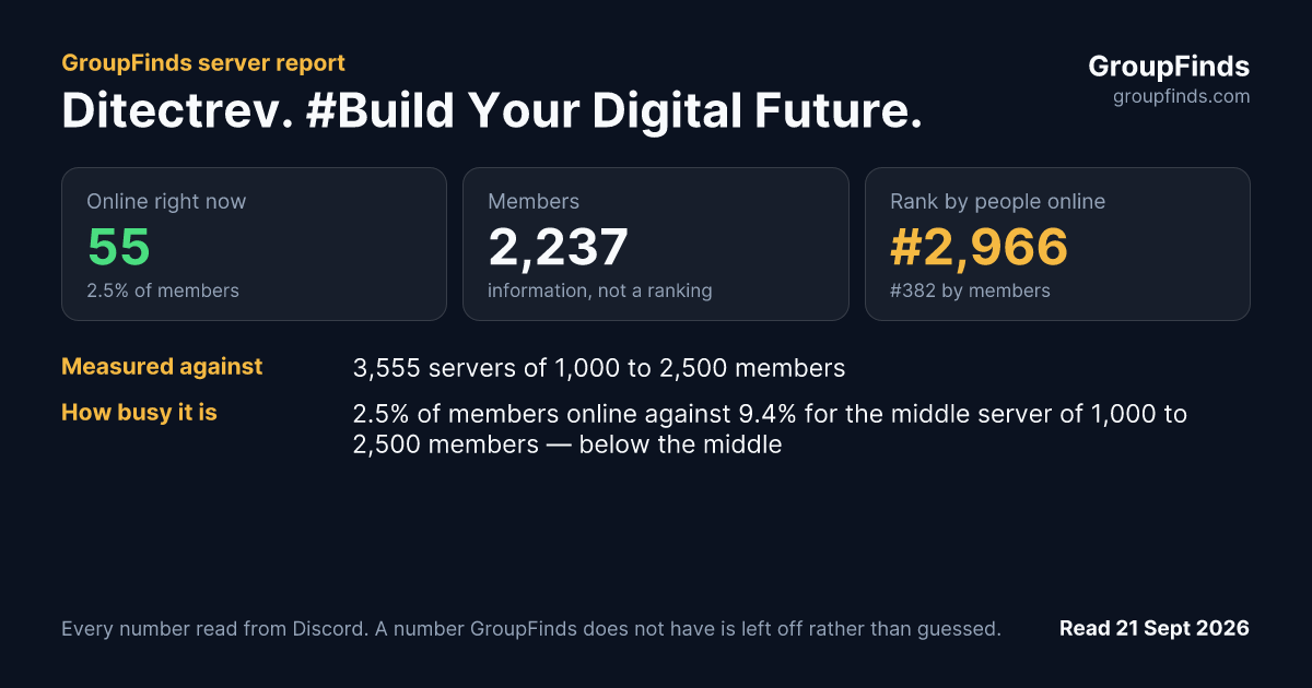 Ditectrev. #Build Your Digital Future.'s GroupFinds server report