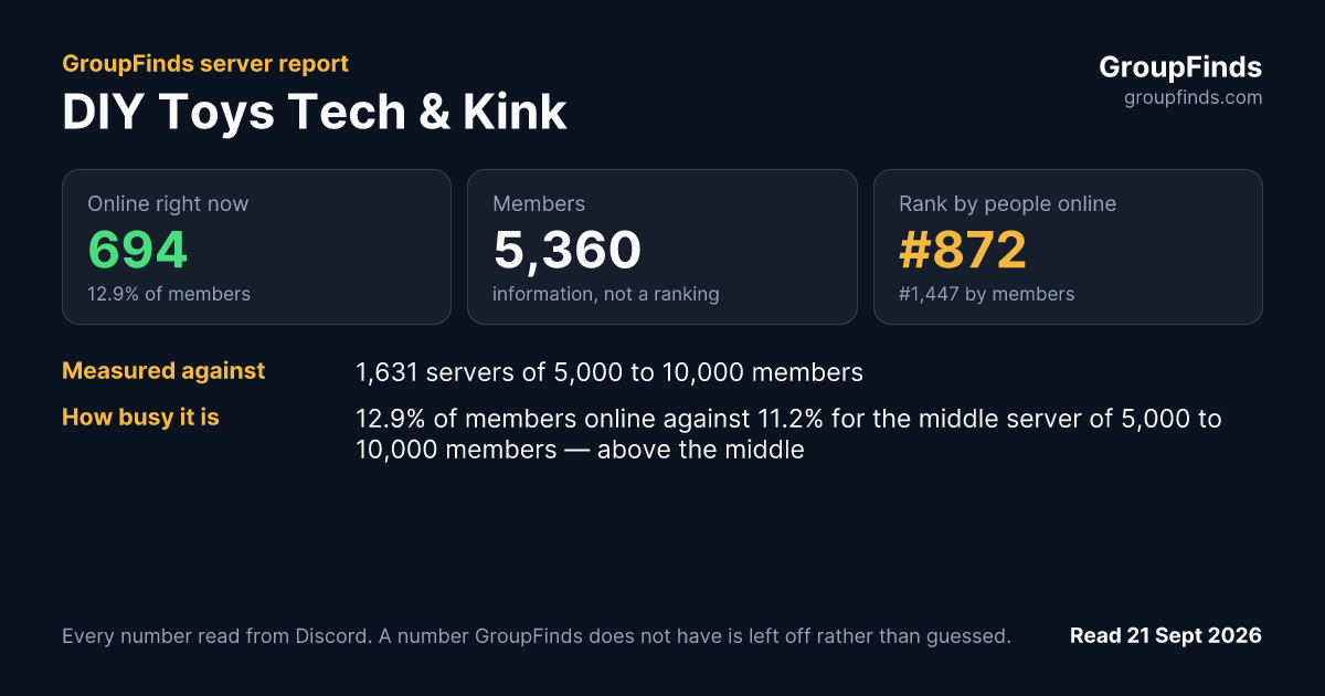 DIY Toys Tech & Kink's GroupFinds server report