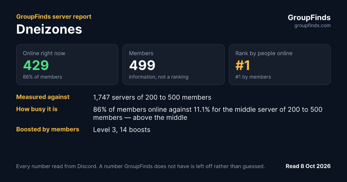 Dneizones's GroupFinds server report