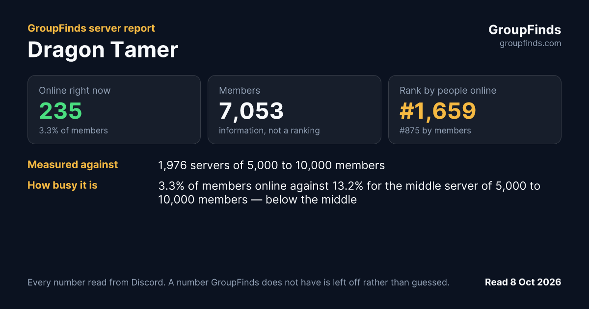 Dragon Tamer's GroupFinds server report
