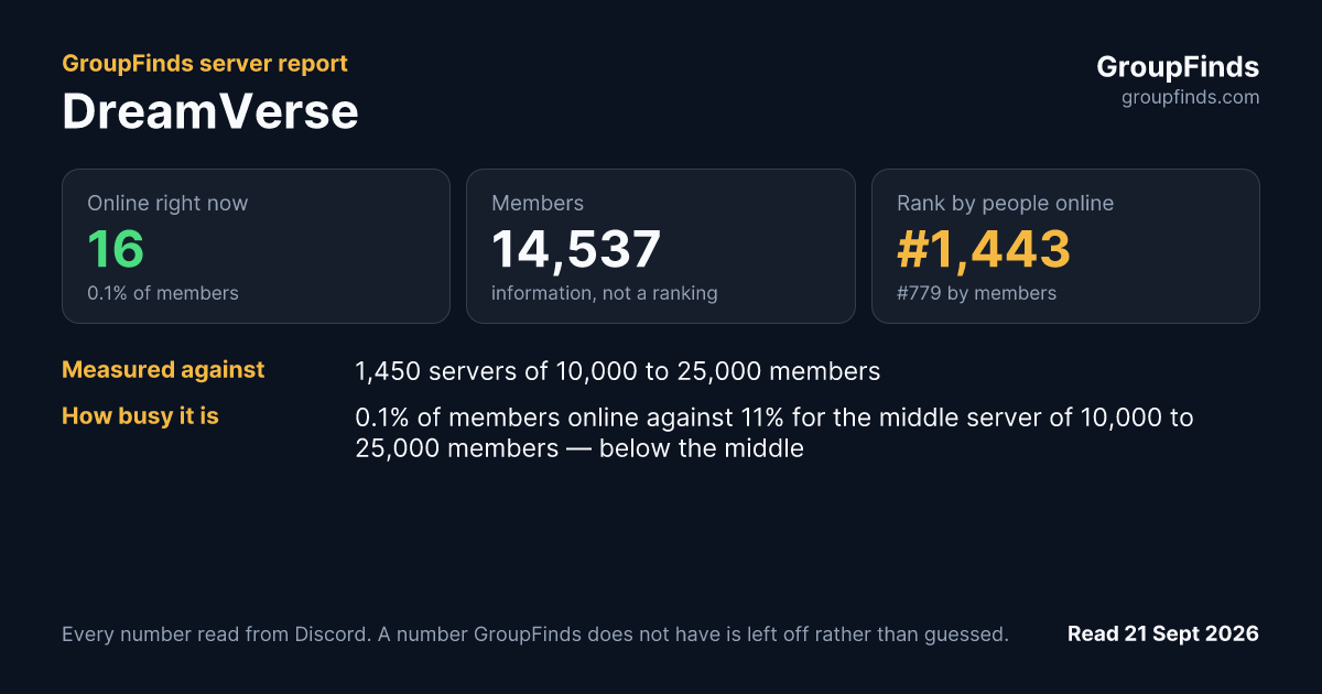 DreamVerse's GroupFinds server report
