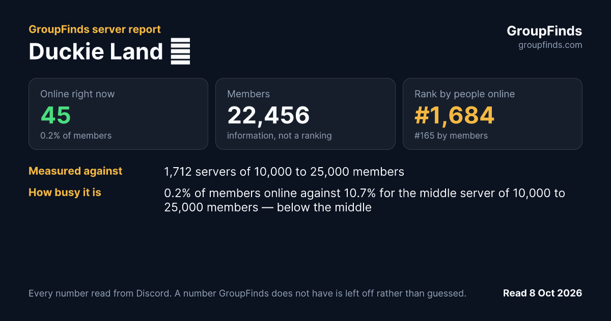 Duckie Land ✅'s GroupFinds server report