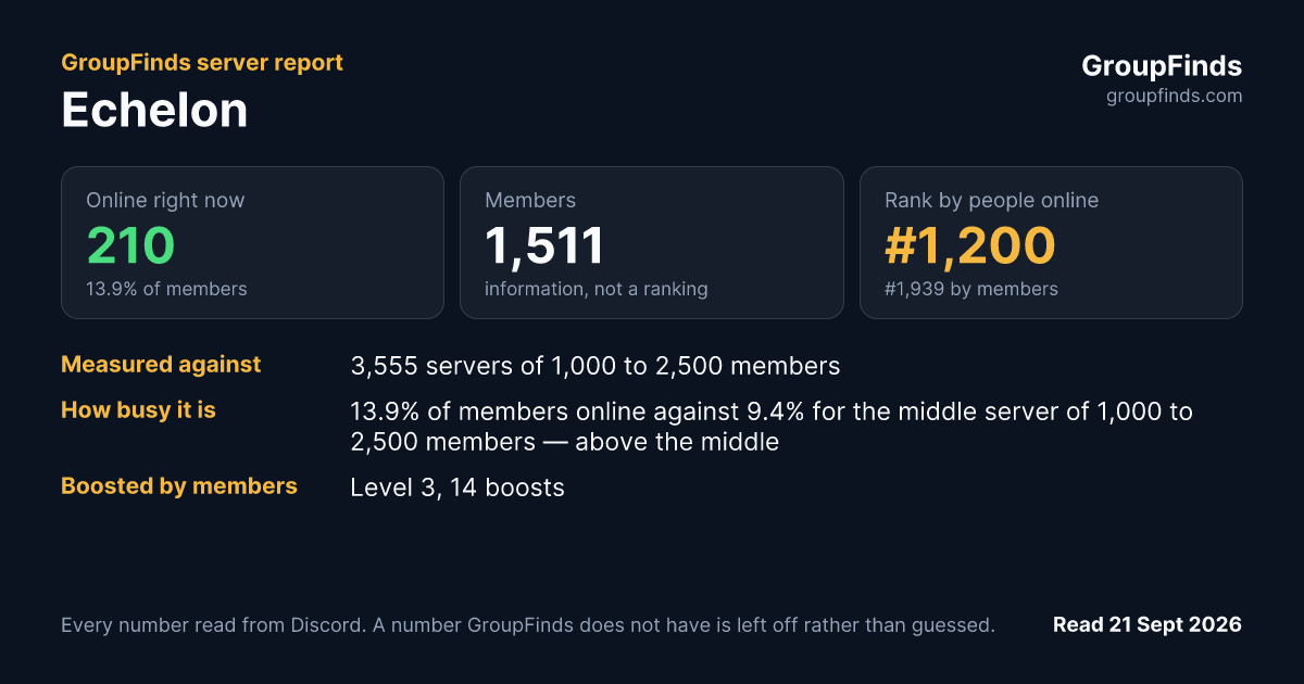 Echelon's GroupFinds server report