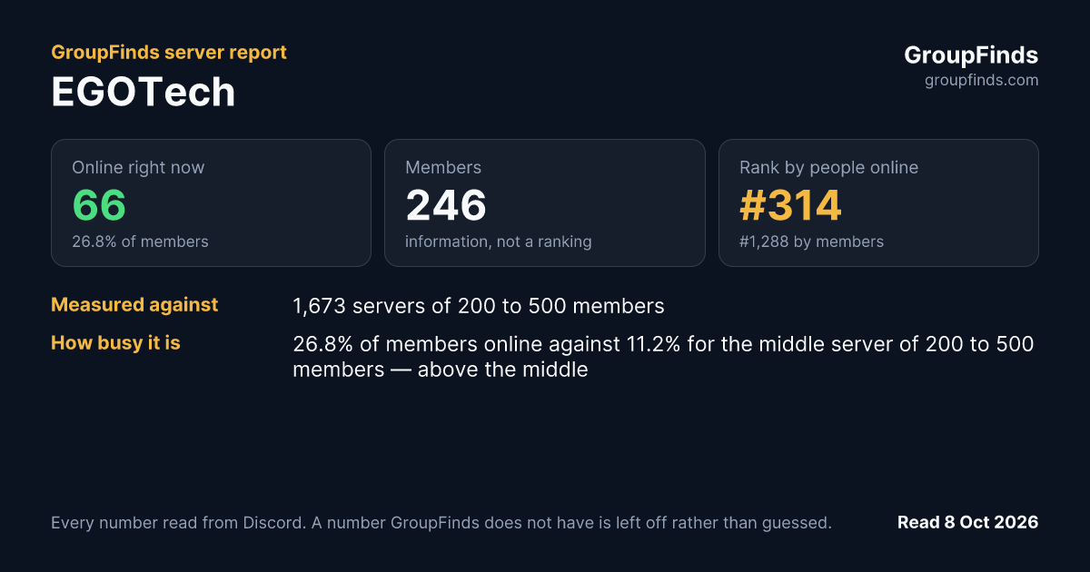 EGOTech's GroupFinds server report