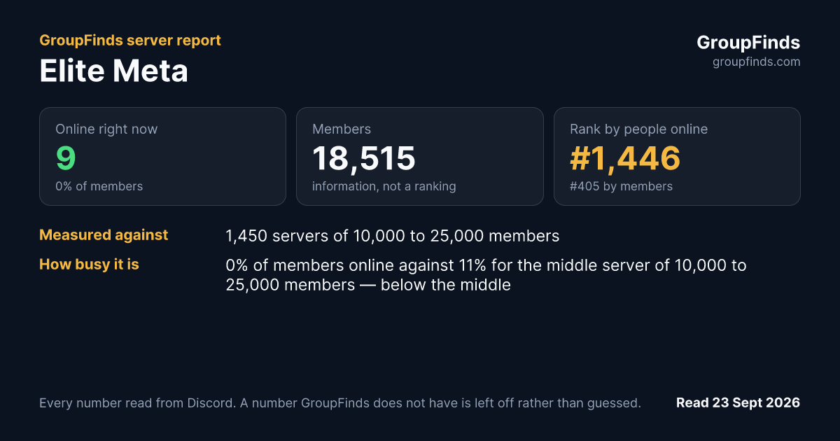 Elite Meta's GroupFinds server report