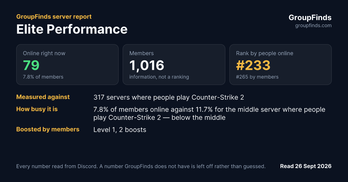 Elite Performance's GroupFinds server report
