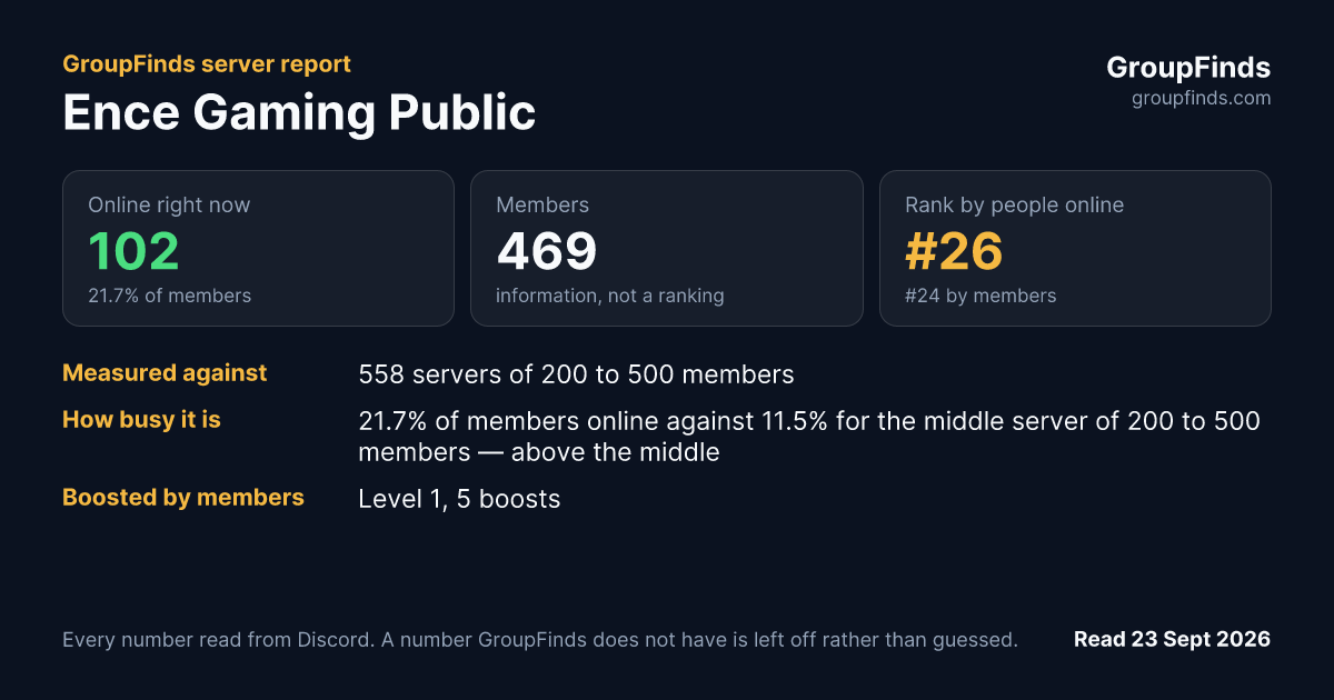 Ence Gaming Public's GroupFinds server report