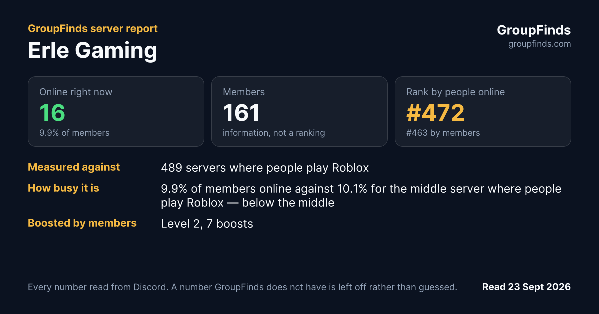 Erle Gaming's GroupFinds server report