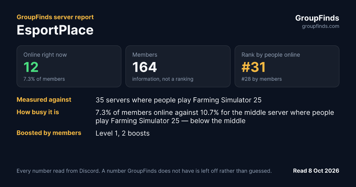 EsportPlace's GroupFinds server report