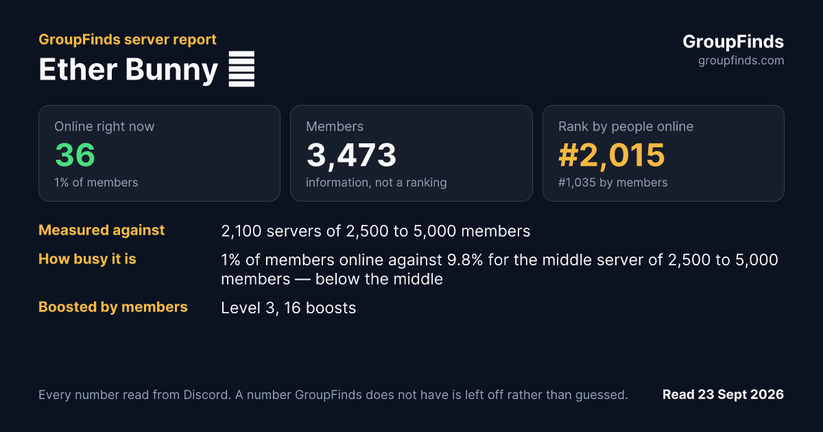 Ether Bunny 🐰's GroupFinds server report