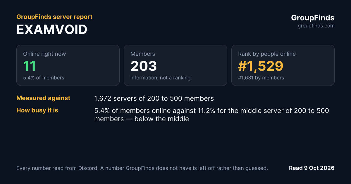 EXAMVOID's GroupFinds server report