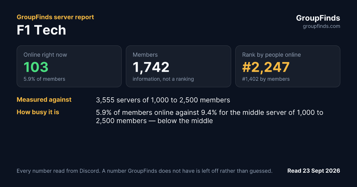 F1 Tech's GroupFinds server report