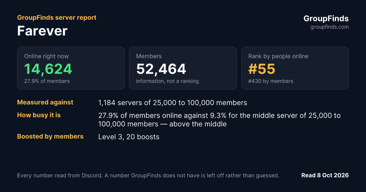 Farever's GroupFinds server report