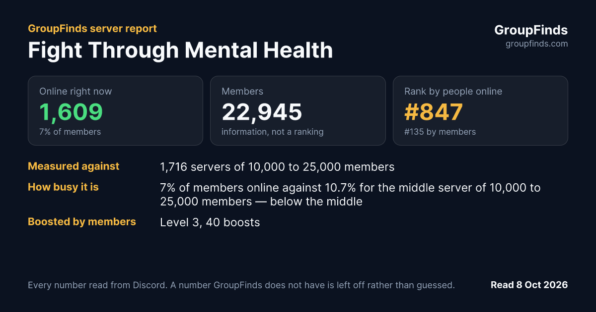 Fight Through Mental Health's GroupFinds server report
