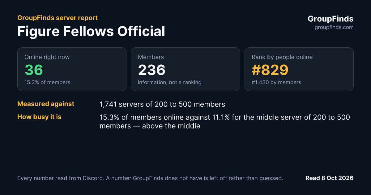 Figure Fellows Official's GroupFinds server report