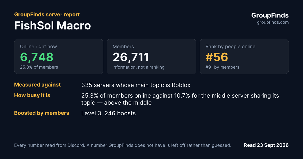 FishSol Macro's GroupFinds server report