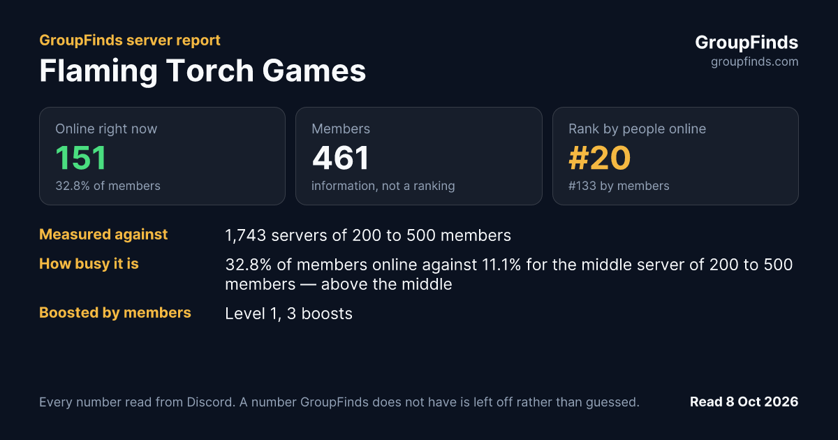 Flaming Torch Games's GroupFinds server report