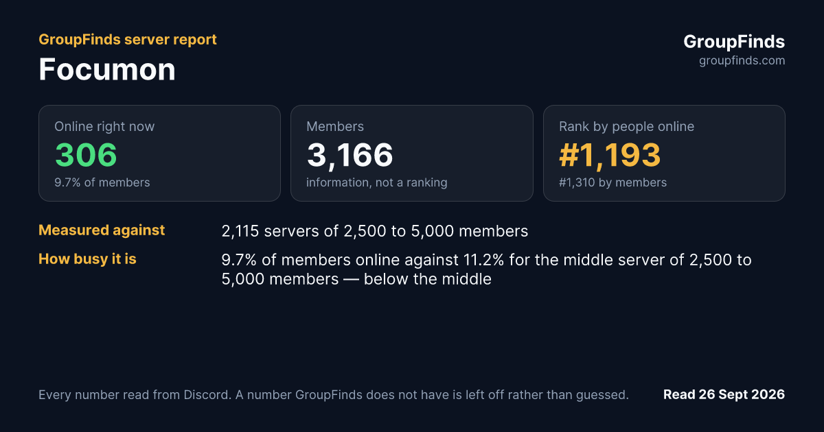 Focumon's GroupFinds server report