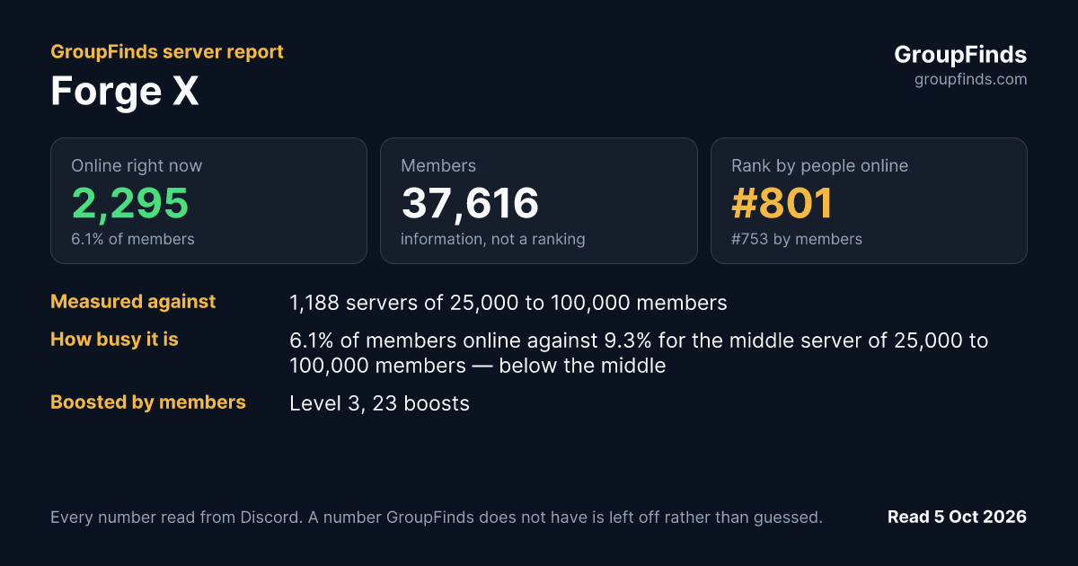Forge X's GroupFinds server report