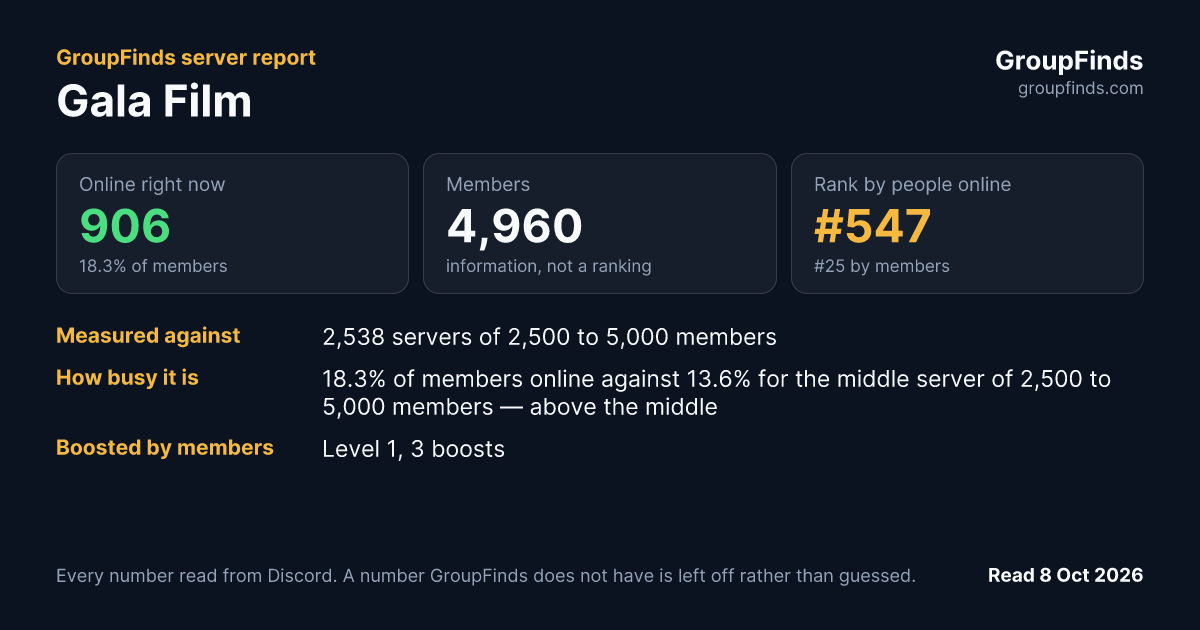 Gala Film's GroupFinds server report