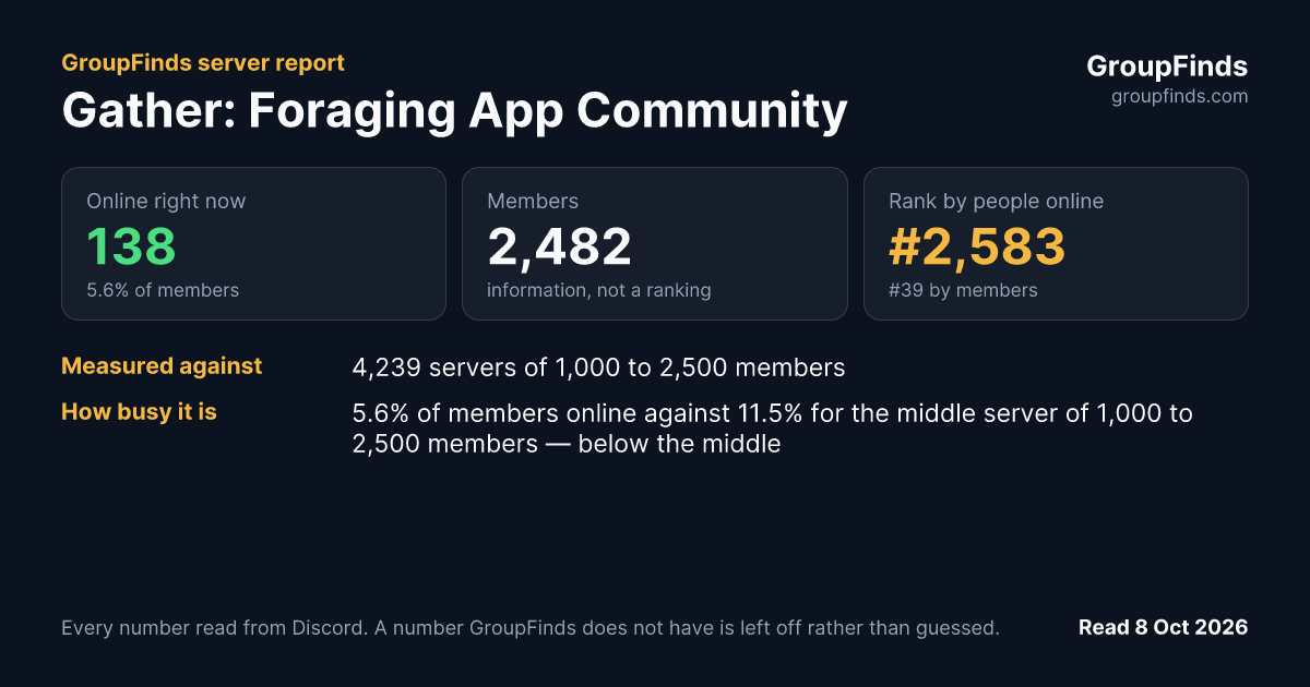 Gather: Foraging App Community's GroupFinds server report