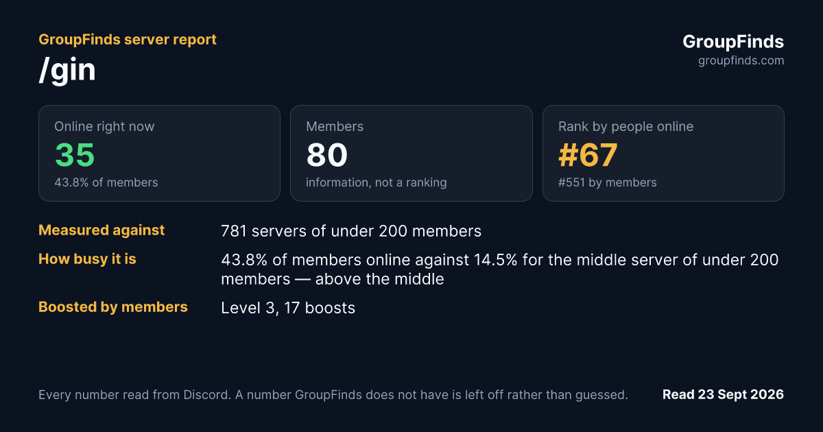 /gin's GroupFinds server report