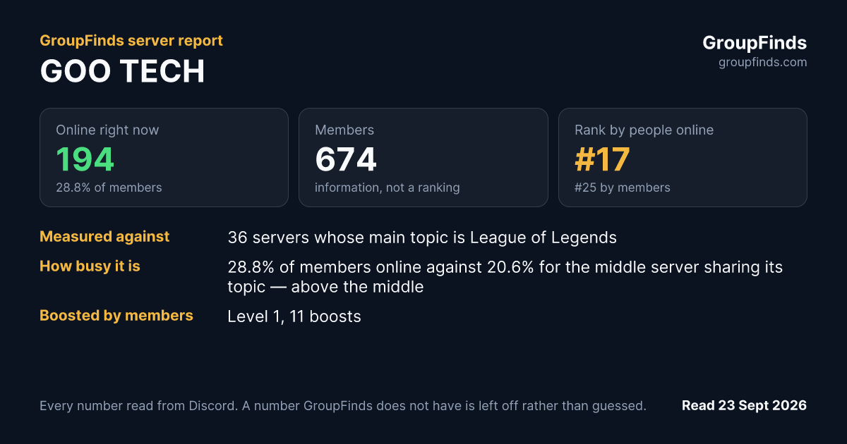 GOO TECH's GroupFinds server report
