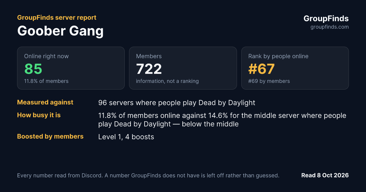 Goober Gang's GroupFinds server report