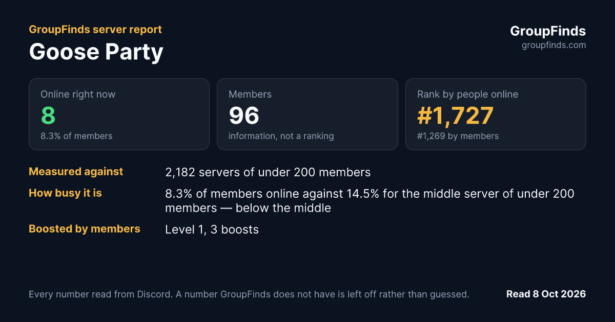 Goose Party's GroupFinds server report