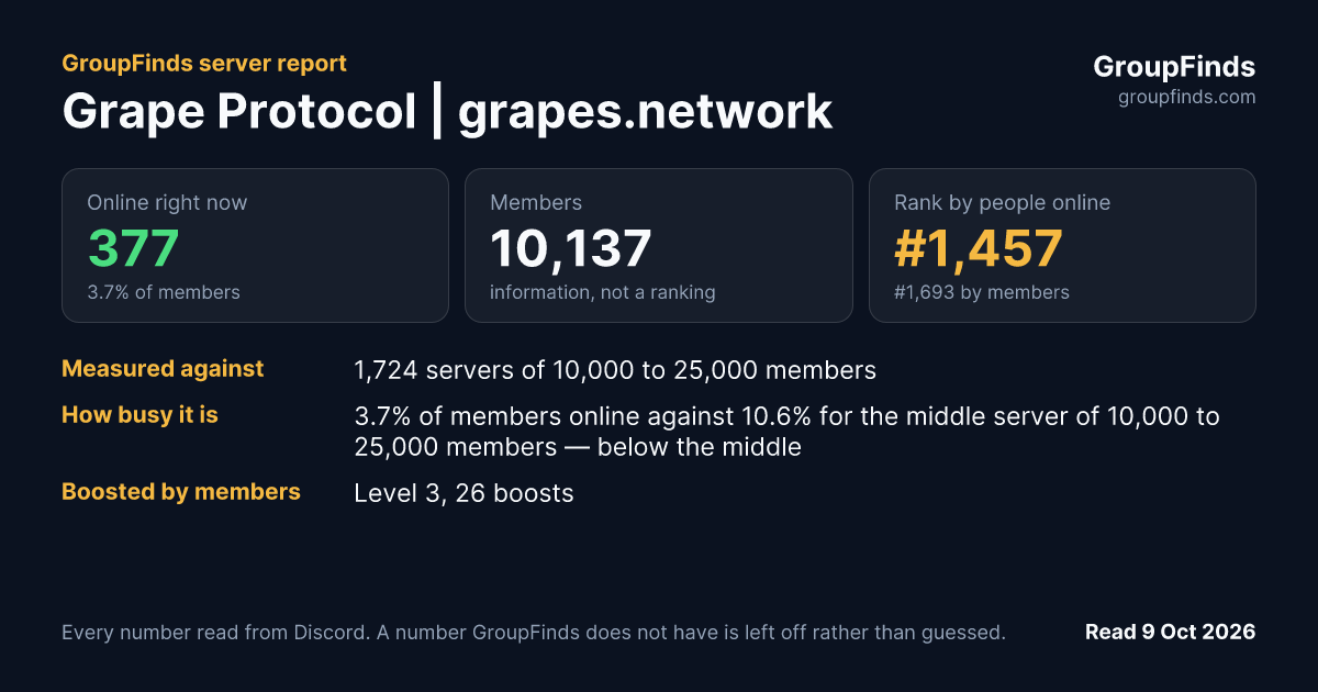 Grape Protocol | grapes.network's GroupFinds server report