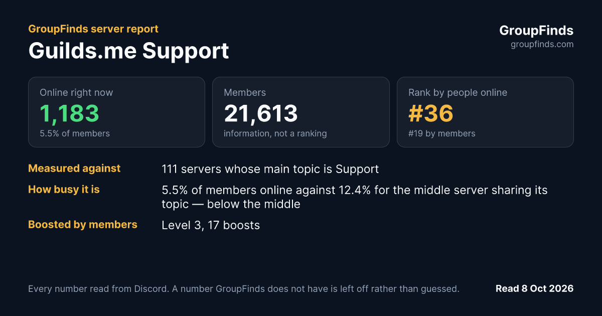Guilds.me Support's GroupFinds server report