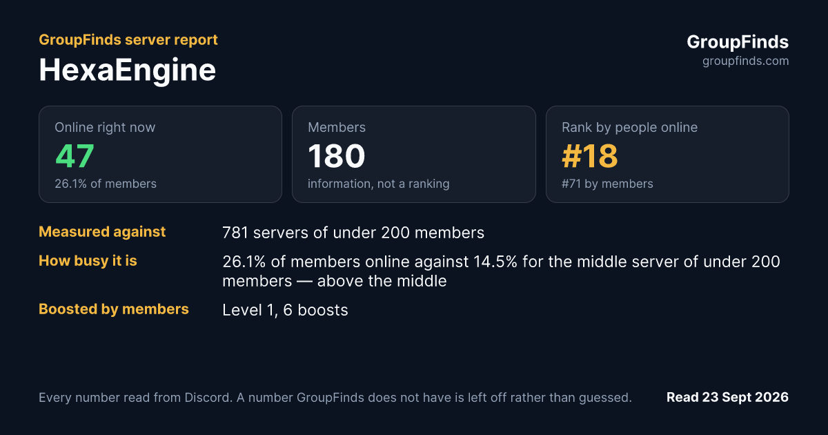 HexaEngine's GroupFinds server report