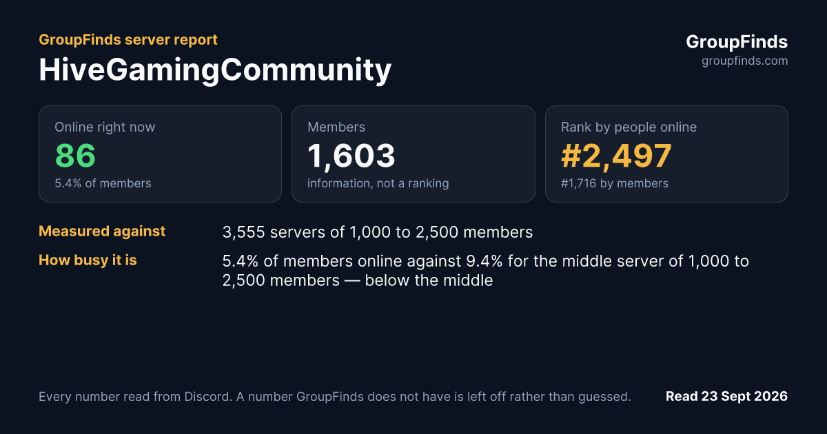 HiveGamingCommunity's GroupFinds server report