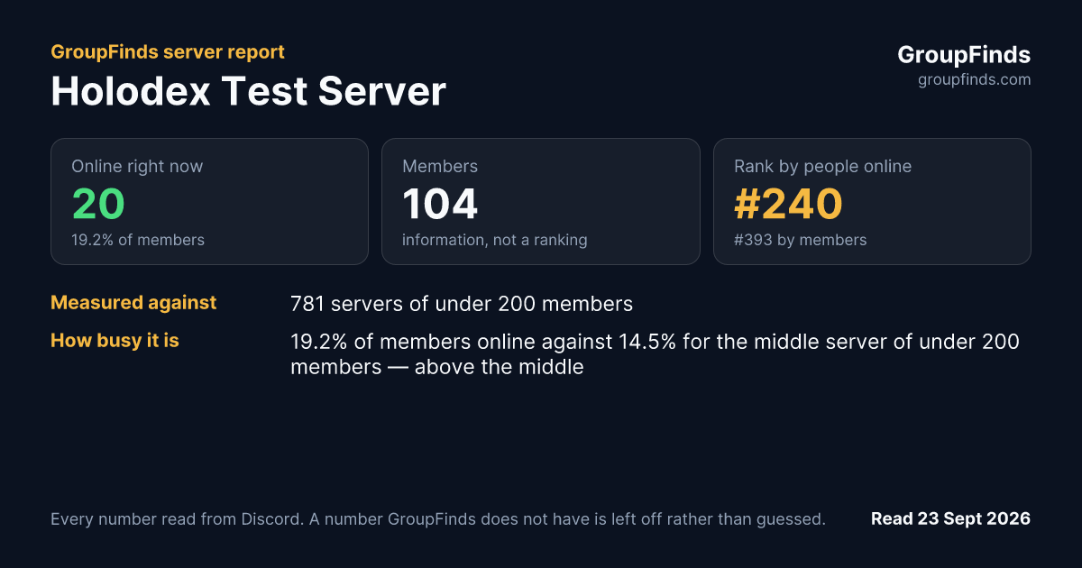 Holodex Test Server's GroupFinds server report