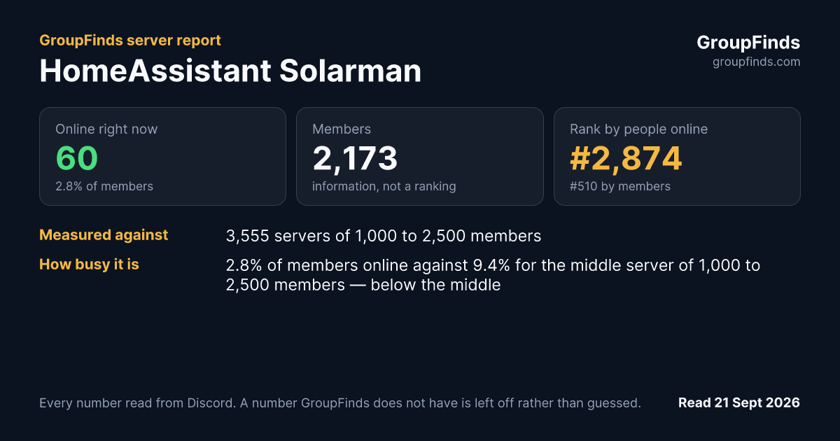 HomeAssistant Solarman's GroupFinds server report