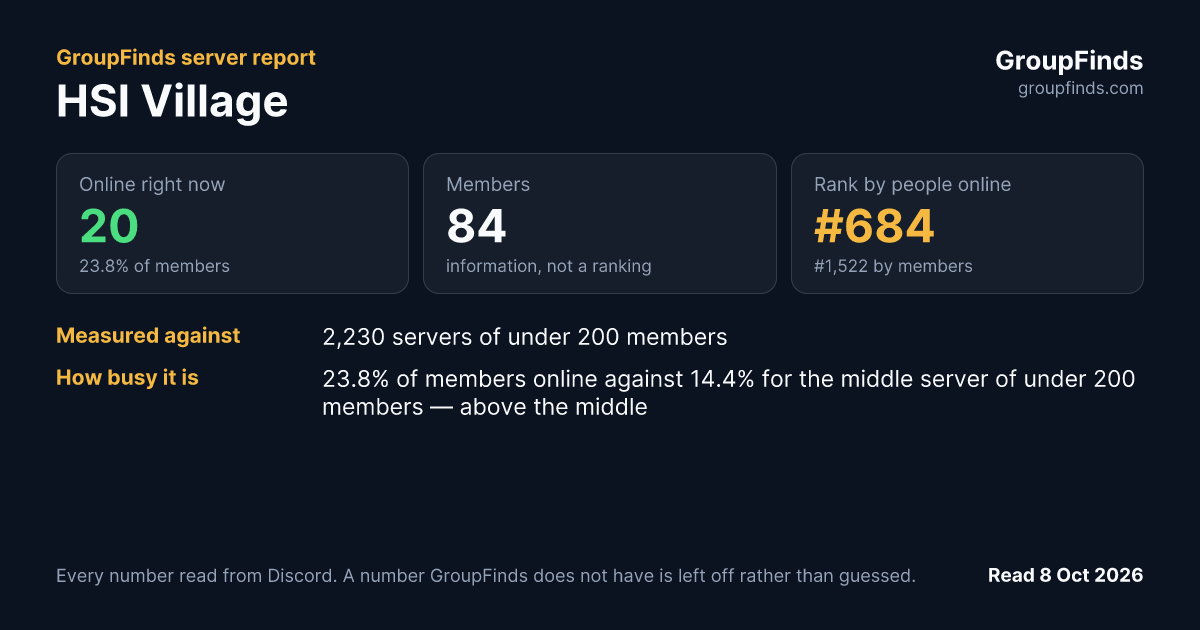 HSI Village's GroupFinds server report