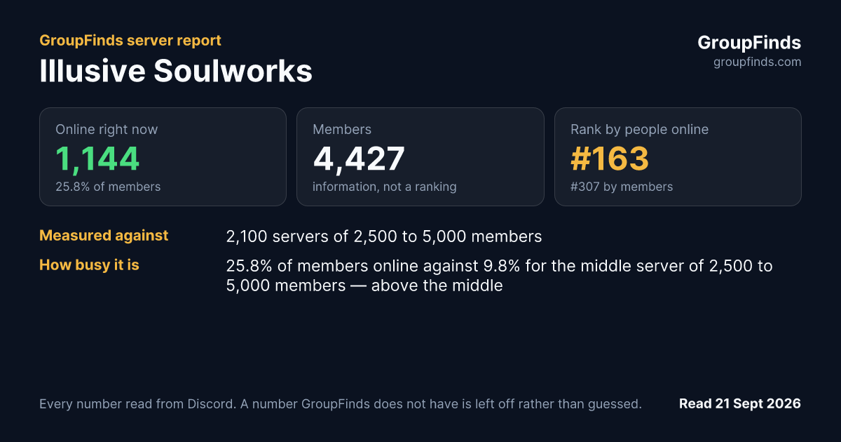 Illusive Soulworks's GroupFinds server report