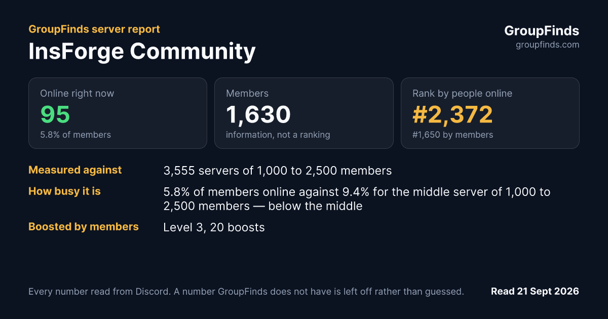 InsForge Community's GroupFinds server report