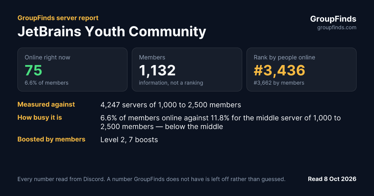 JetBrains Youth Community's GroupFinds server report