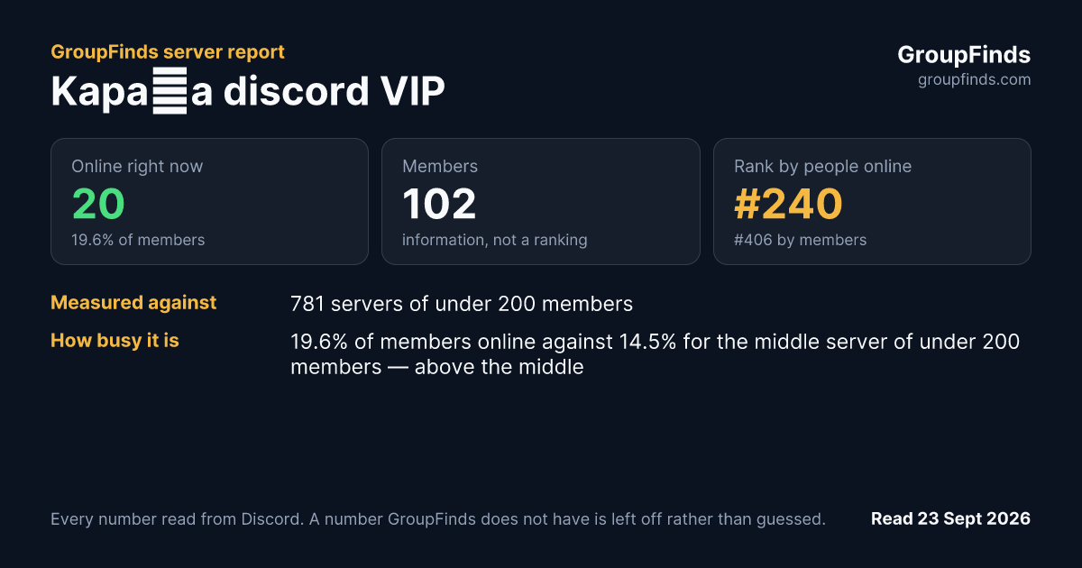 Kapała discord VIP's GroupFinds server report
