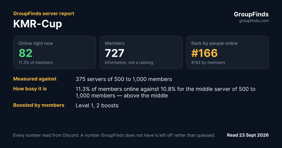 KMR-Cup's GroupFinds server report