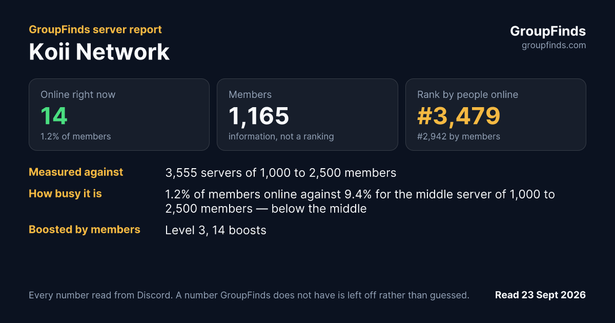 Koii Network's GroupFinds server report