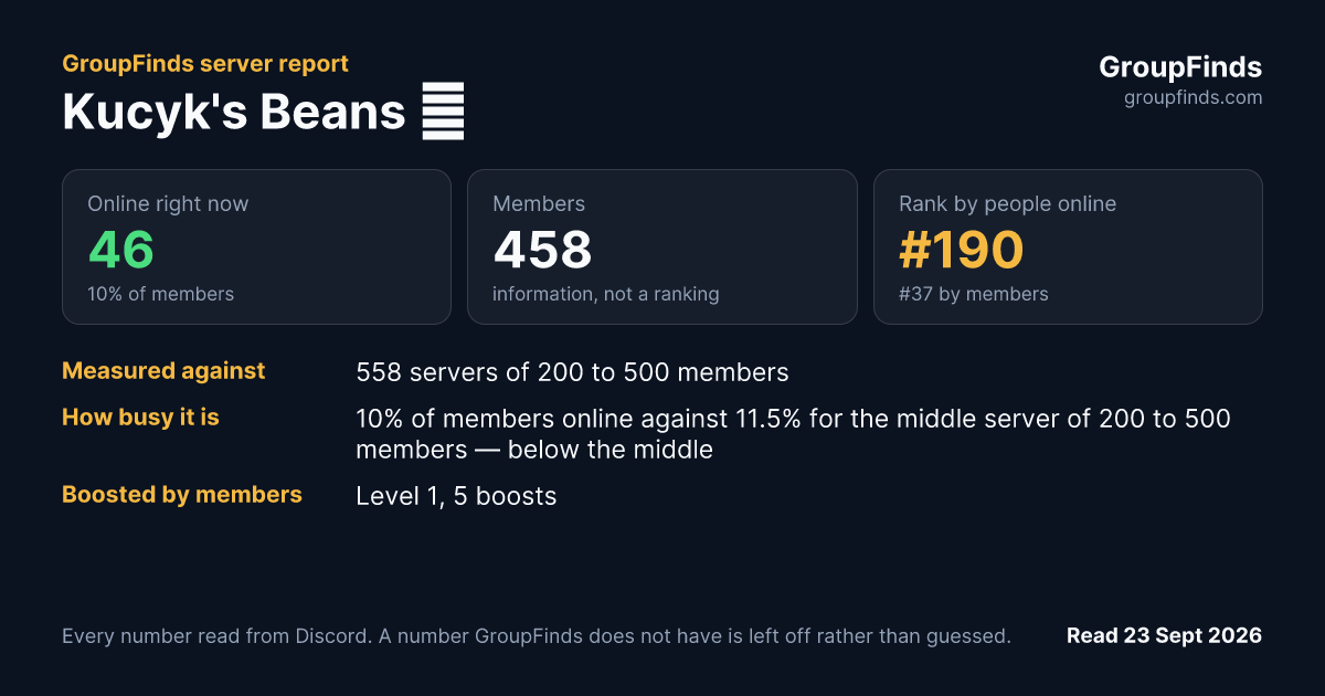 Kucyk's Beans 🐾's GroupFinds server report